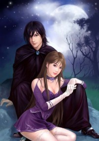 鬼医至尊:妖娆大小姐慕千汐九夜